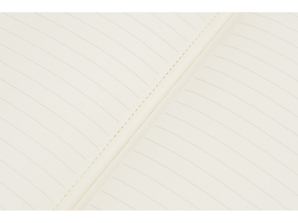 Блокнот А5 «Notepeno», Цвет черный