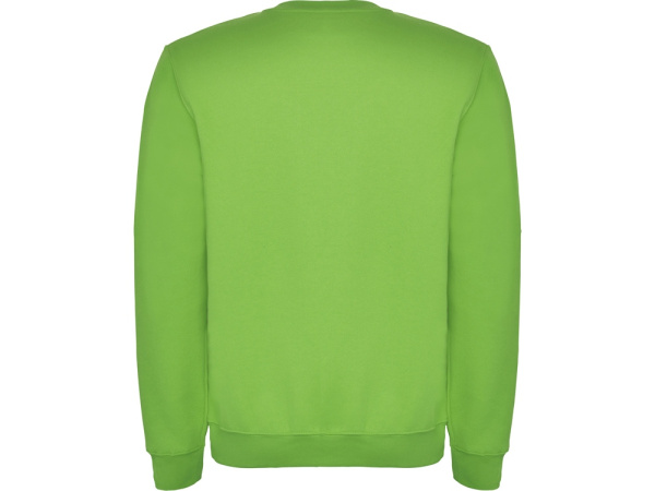 Свитшот с начесом «Clasica» унисекс, Размер 2XL, Цвет зеленое яблоко