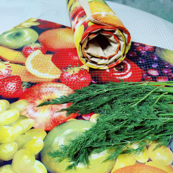Электросушилка "Самобранка" 50*50 см (Сушка фруктов, овощей, ягод, трав, кореньев и корнеплодов, рыб