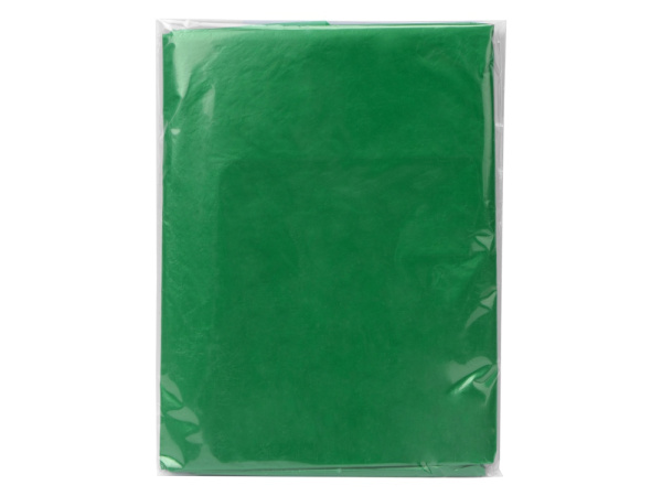 Дождевик «Cloudy», Цвет зеленый