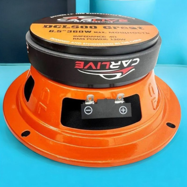 Эстрадная акустика Carlive DCL600 (6.5") / Надёжность и чистое звучание