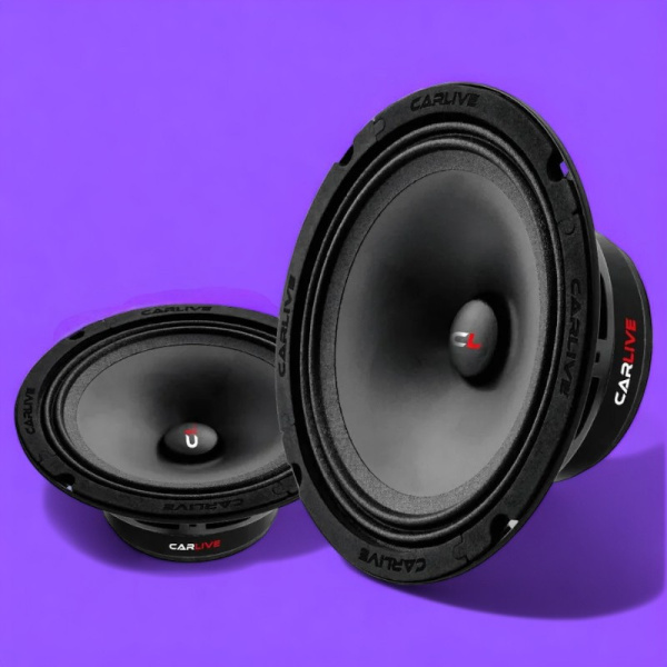 Эстрадная акустика Carlive BCL650 Premium (6.5") / Сила и баланс звука