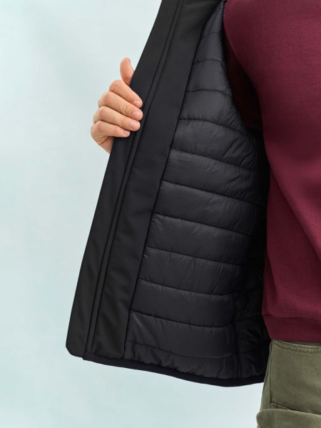 Жилет софтшелл унисекс Falcon BW, черный, XS–4XL