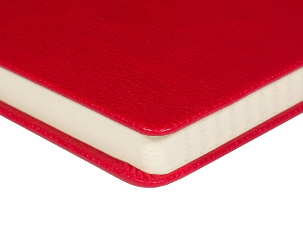 Ежедневник недатированный А5 «Megapolis Loft», Цвет красный