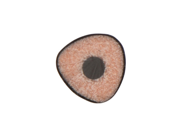 Трехгранный карандаш «Conti» из переработанных контейнеров, Цвет черный