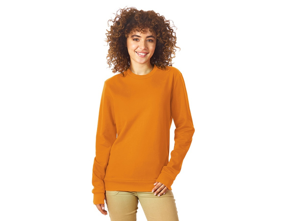 Свитшот «Motion» с начесом, унисекс, Размер 2XL, Цвет оранжевый