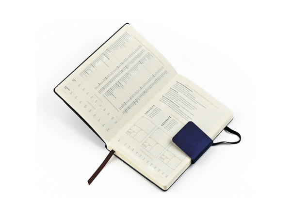 Ежедневник недатированный А5 «Zenith», Размер A5, Цвет белый