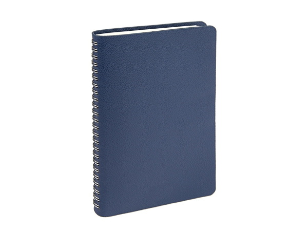 Ежедневник недатированный А5 «Alba», Цвет синий