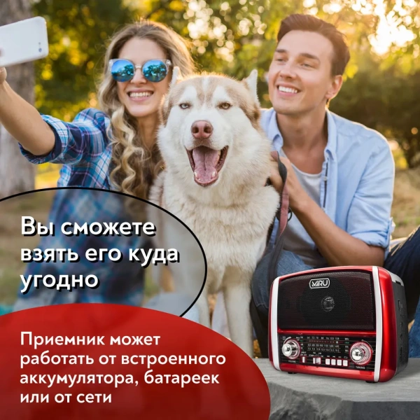 Радиоприемник  SR-1025, аналоговый тюнер FM/AM, аккумулятор 750 мАч, USB, TF, microSD, AUX / Встроенный фонарь