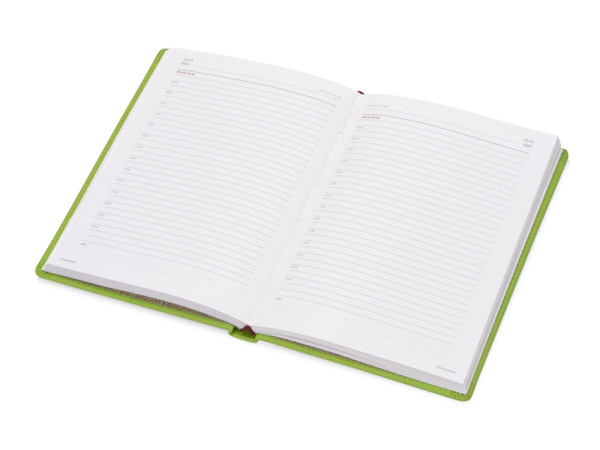 Ежедневник недатированный А5 «Velvet», Размер A5, Цвет салатовый