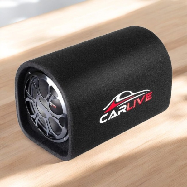 Автомобильный сабвуфер Carlive SB0110 10" / Сбалансированный звук и надёжность