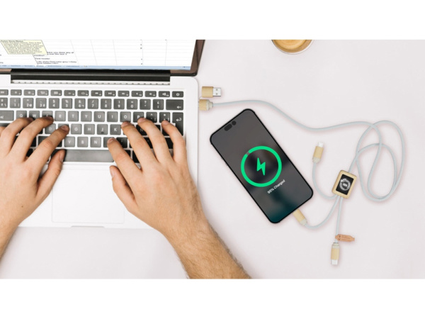 Кабель для быстрой зарядки на 2,4 А с двумя светящимися логотипами, Цвет светло-коричневый