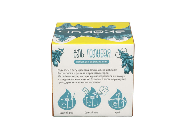 Набор для выращивания «Ель Голубая», Цвет желтый