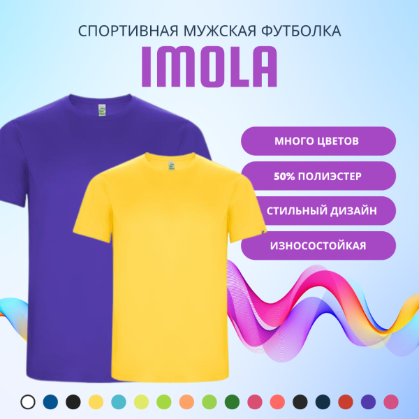 Спортивная мужская футболка IMOLA из переработанного полиэстера CONTROL DRY