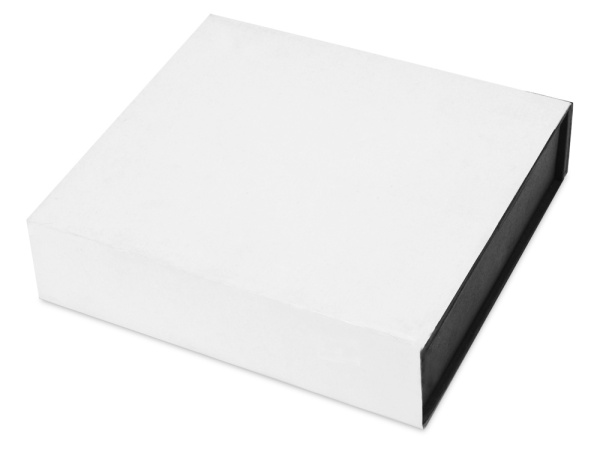 Награда «Lex», Цвет прозрачный/серебристый